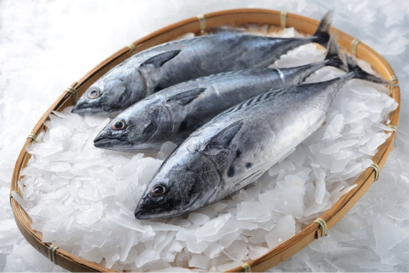 Freezing seafood can help it to last longer