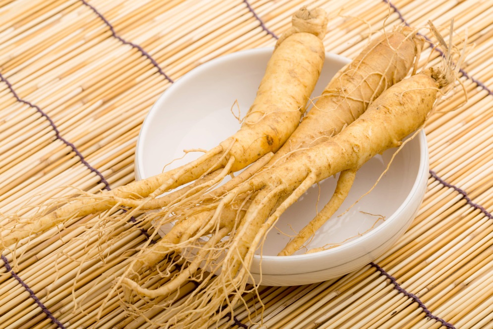 Ginseng as a part of MMA diet