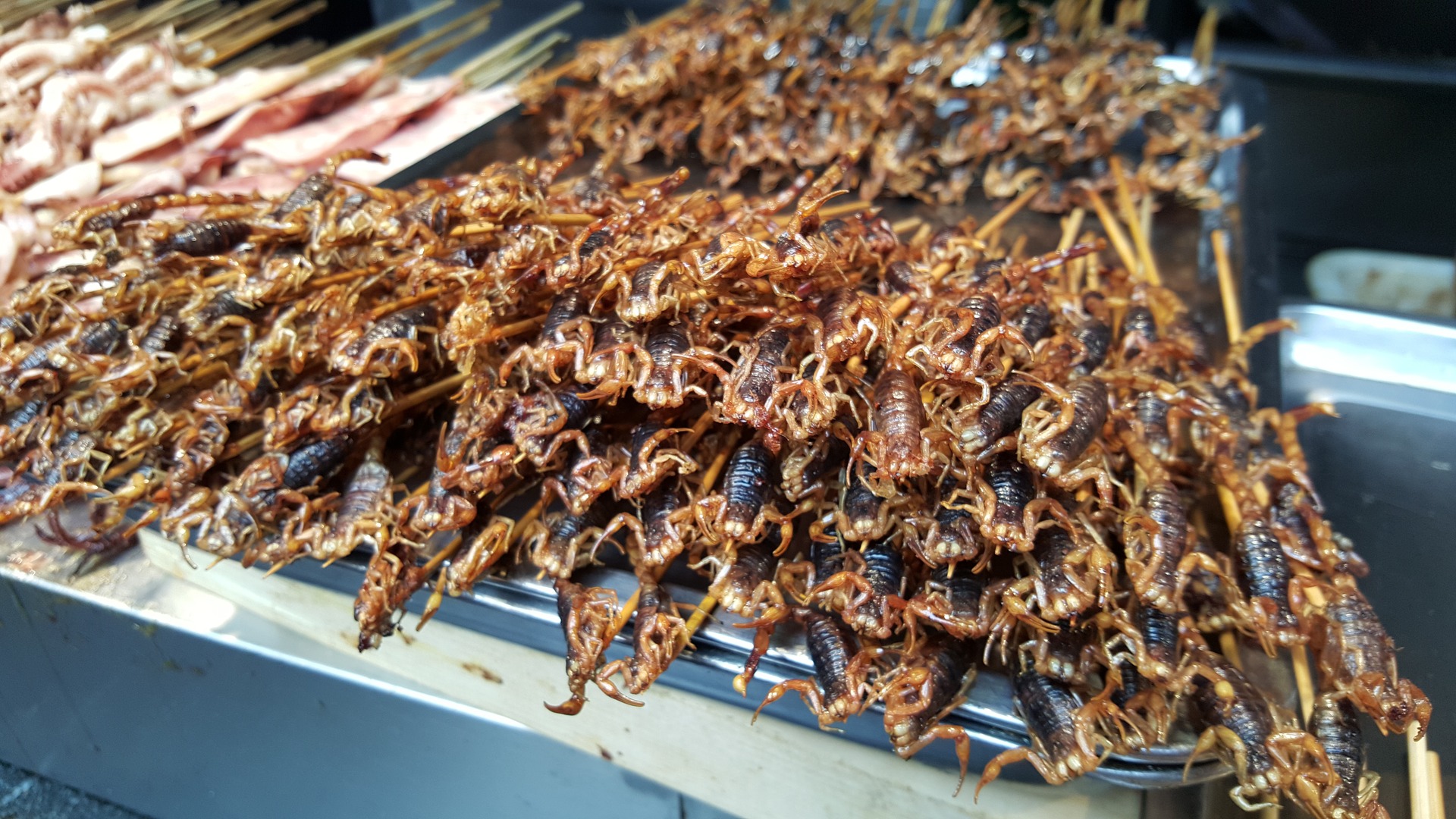 Fried Scorpions