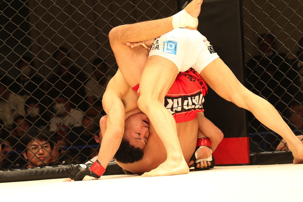 MMA combines various martial arts disciplines