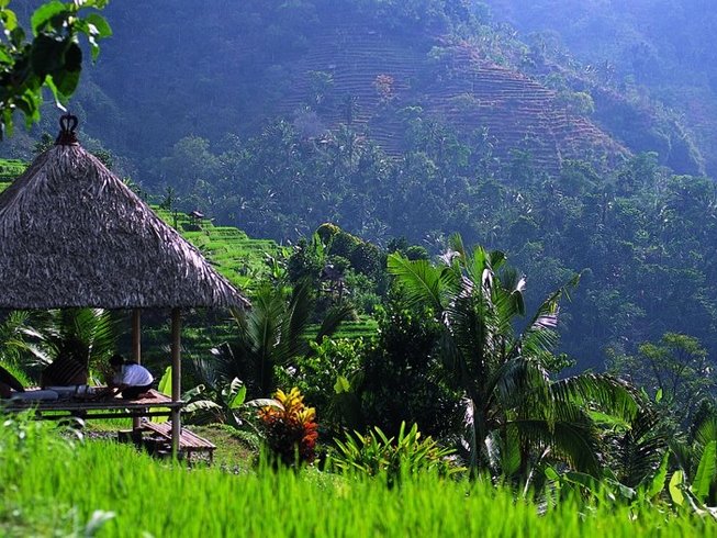 The picturesque paddy fields of Ubud, Bali